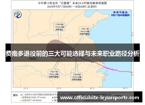 费南多退役前的三大可能选择与未来职业路径分析