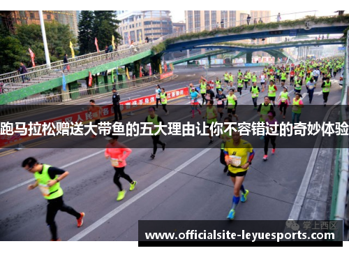 跑马拉松赠送大带鱼的五大理由让你不容错过的奇妙体验