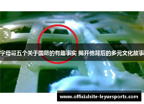 字母哥五个关于国籍的有趣事实 揭开他背后的多元文化故事