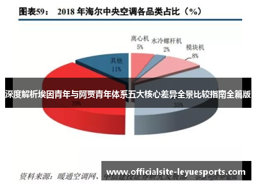 深度解析埃因青年与阿贾青年体系五大核心差异全景比较指南全篇版