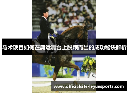 马术项目如何在奥运舞台上脱颖而出的成功秘诀解析
